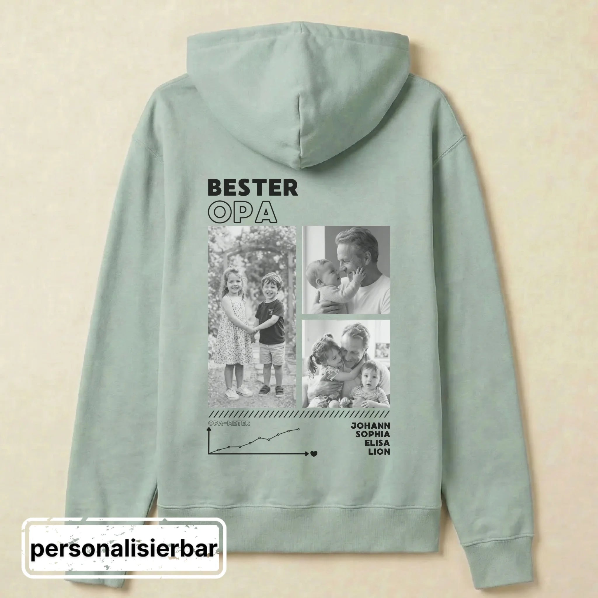 Cruiser 2.0 Hoodie - Aloe